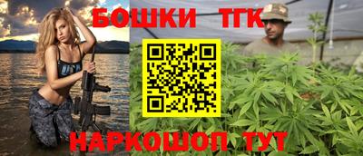 Альфа ПВП Можга