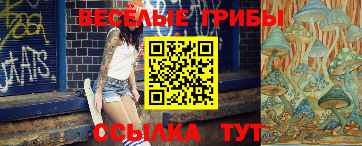 Галлюциногенные грибы Psilocybe Чита