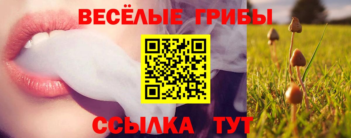 Псилоцибиновые грибы GOLDEN TEACHER  Вход с VPN  Галлюциногенные грибы GOLDEN TEACHER  Чита 